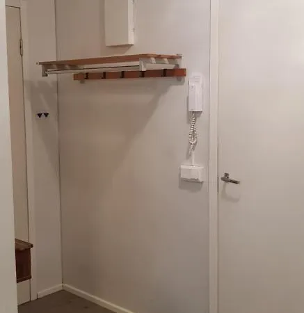 Near - Puinnintie 波里