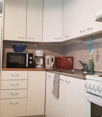 Near - Puinnintie Appartement